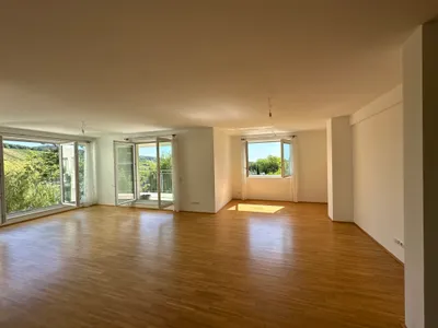 PROVISIONSFREI! 150m² Luxus-Wohntraum mit Weitblick in 1190 Wien