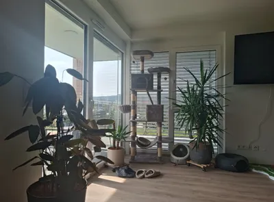 3-Zimmer-Wohnung mieten in Oberwart – 79 m², € 821 – Bild 18 von 21