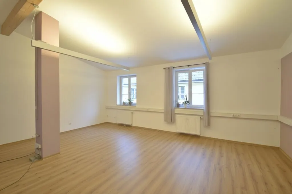 Modernes 2-Zimmerbüro in der Lederfabrik - Ansicht 2