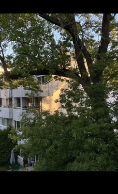 1-Zimmer-Wohnung mieten in Wien – 40 m², € 949 – Bild 4 von 4