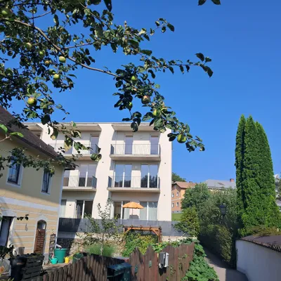 1-Zimmer-Gewerbeimmobilie mieten in Amstetten – 117,62 m², € 1.075 – Bild 6 von 11