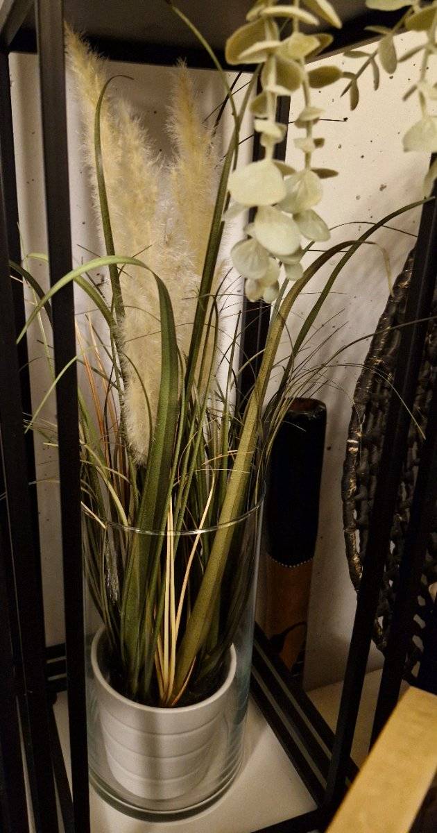 Knstliches Pampasgras sehr naturgetreu natrlich ohne Pflegeaufwand Grser  blhend grn Sichtschutz fr Terrasse Balkon indoor,  14,99 (9500 Maria  Gail) - willhaben