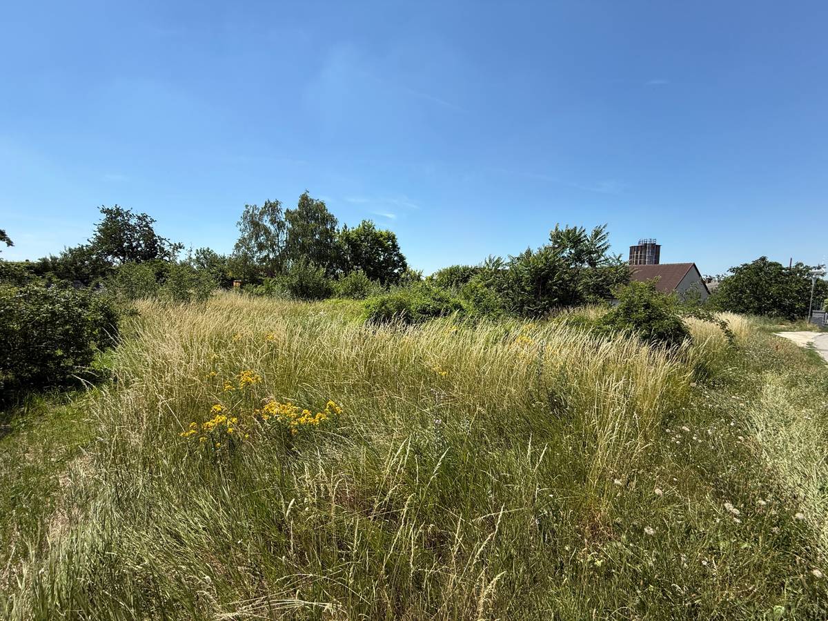 Grundstücke in Gänserndorf Stadt - 700 m², kein Bauzwang, mehrere Einheiten möglich! - Ansicht 2