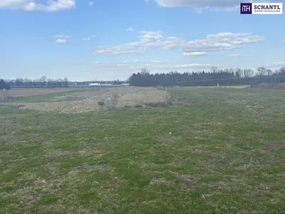 Immobilie kaufen in Leibnitz – 10 000 m², € 1.900.000 – Bild 2 von 7