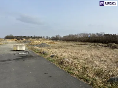 Immobilie kaufen in Leibnitz – 10 000 m², € 1.900.000 – Bild 1 von 7