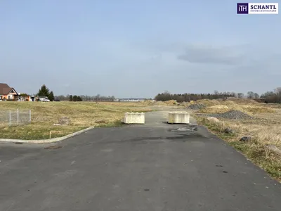 Immobilie kaufen in Leibnitz – 10 000 m², € 1.900.000 – Bild 3 von 7