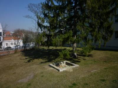 3 Zi Wohnung im Grünen