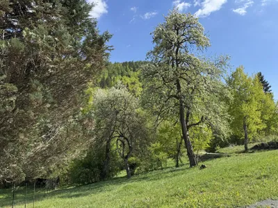 Grundstück kaufen in Villach Land – 768 m², € 72.960 – Bild 4 von 6