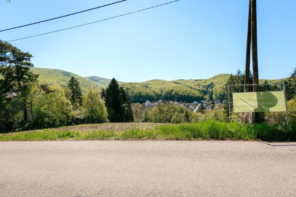 BAUGRUND MIT PERSPEKTIVE in sonniger Südhanglage - exklusives Grundstücksensemble - Ansicht 3