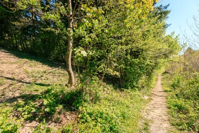 Grundstück kaufen in Sankt Pölten Land – 1 615 m², € 468.300 – Bild 6 von 8