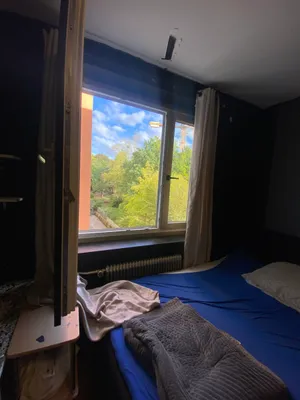 1-Zimmer-Wohnung mieten in Wels – 29 m², € 550 – Bild 5 von 8