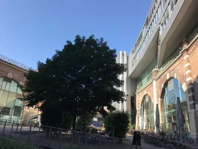 Gewerbeimmobilie mieten in Wien – 755 m² – Bild 10 von 11