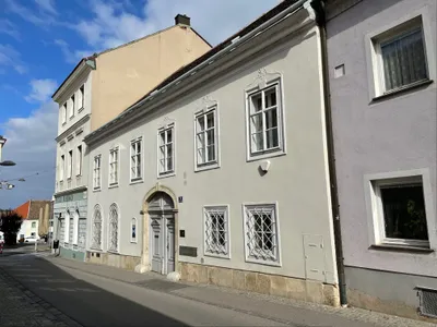 22-Zimmer-Haus kaufen in Bruck an der Leitha – 560 m², € 699.000