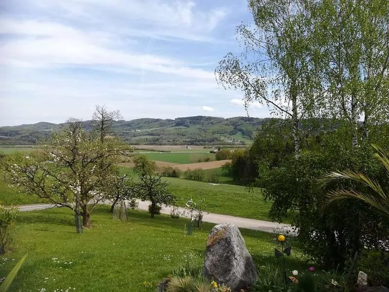 Wohnung – St. Georgen am Steinfelde - Ansicht 2