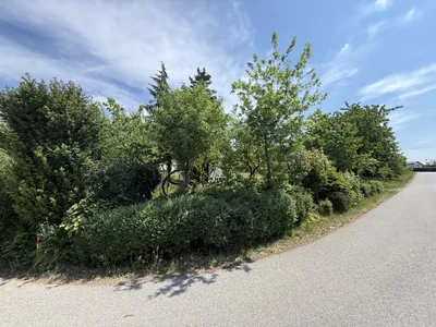 Grundstück kaufen in Freistadt – 805 m², € 256.000 – Bild 3 von 9