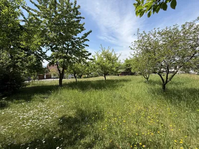 Grundstück kaufen in Freistadt – 805 m², € 256.000 – Bild 5 von 9