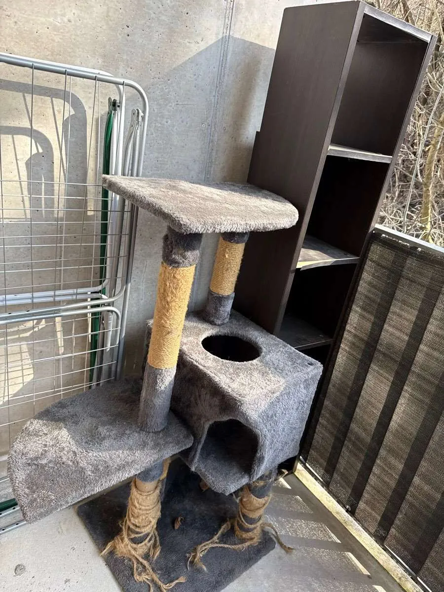 stabiler kratzbaum fr groe katzen Premium XL Katzen Kratzbaum 155cm, stabiler Kletterbaum
