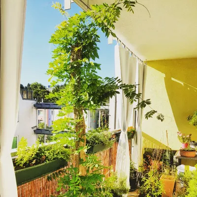 2-Zimmer-Wohnung kaufen in Wien – 55 m², € 400.000 – Bild 1 von 16