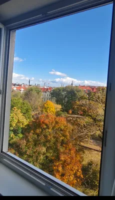 2-Zimmer-Wohnung mieten in Wien – 38 m², € 899 – Bild 2 von 33