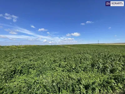 Immobilie kaufen in Bruck an der Leitha – 41 195 m², € 415.000 – Bild 2 von 4