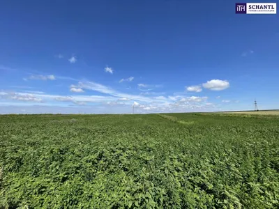 Immobilie kaufen in Bruck an der Leitha – 41 195 m², € 415.000 – Bild 3 von 4