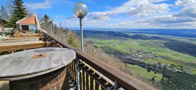 Gewerbeimmobilie mieten in Wiener Neustadt Land – 400 m², € 1.000 – Bild 9 von 20