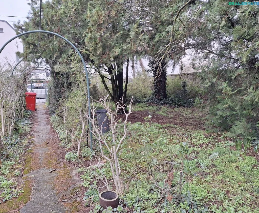 Baugrund in bester Wohnlage - Nähe S-Bahn & Stadtgrenze Wien - Widok 2