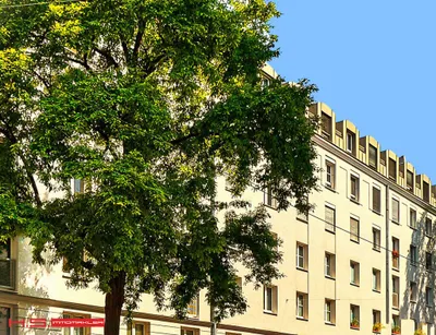 1-Zimmer-Wohnung kaufen in Wien – 42 m², € 329.000 – Bild 6 von 12