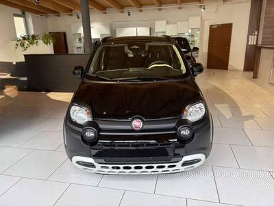 Fiat Pandina