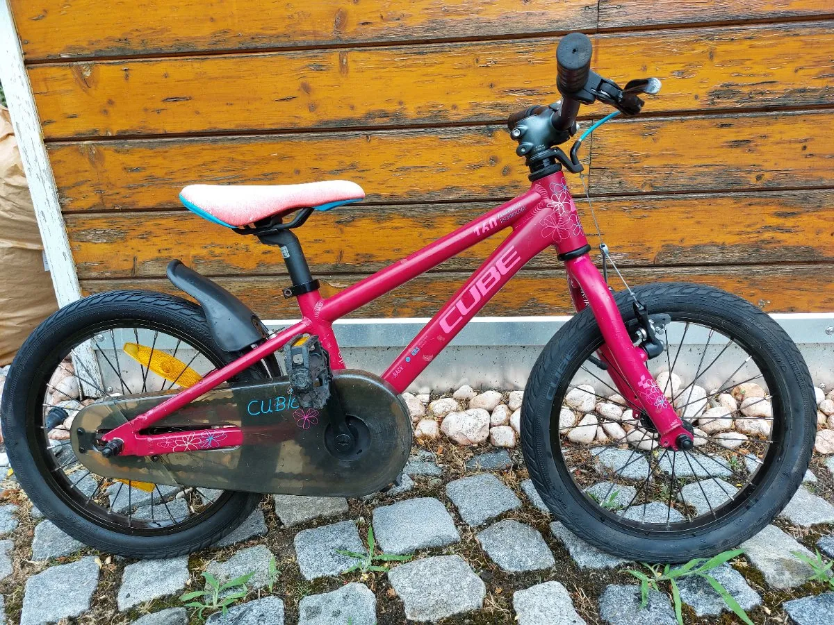fahrrad anhänger baby Fahrradanhänger - Buggy Certified Diamondback Union 2 Throttle and speedometer for e-bike conversion Motive:Bär