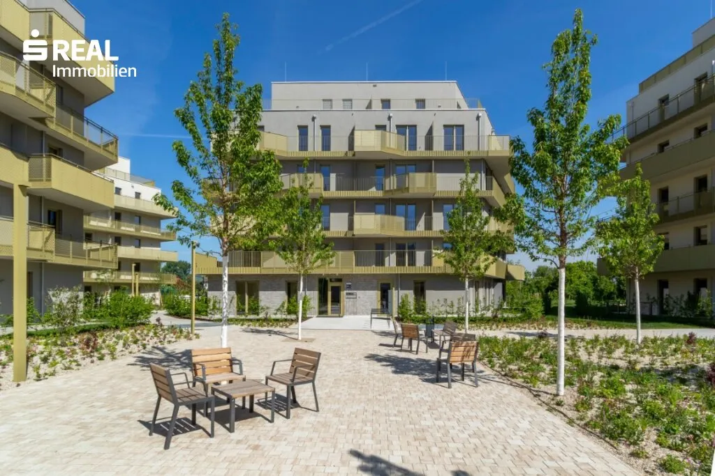 Hirschfeld - Ihr neues Zuhause im Grünen - anfragen, besichtigen, einziehen - 41 bis 96 m² - Ansicht 3