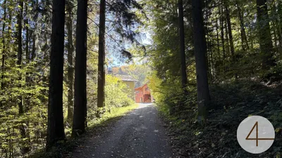 6-Zimmer-Haus kaufen in Waidhofen an der Ybbs – 150 m², € 550.000 – Bild 5 von 23