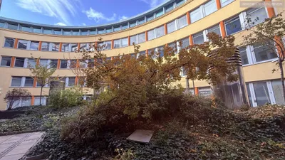10-Zimmer-Gewerbeimmobilie mieten in Wien – 717 m², € 12.598 – Bild 6 von 9