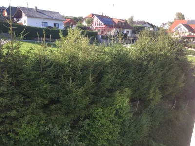 4-Zimmer-Wohnung mieten in Urfahr-Umgebung – 77 m², € 749 – Bild 18 von 28