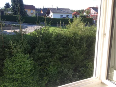 4-Zimmer-Wohnung mieten in Urfahr-Umgebung – 77 m², € 749 – Bild 17 von 28