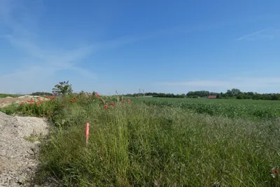 Grundstück kaufen in Neusiedl am See – 732 m², € 190.000