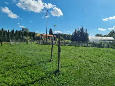 1-Zimmer-Immobilie kaufen in Grieskirchen – 52 m², € 168.000 – Bild 14 von 17