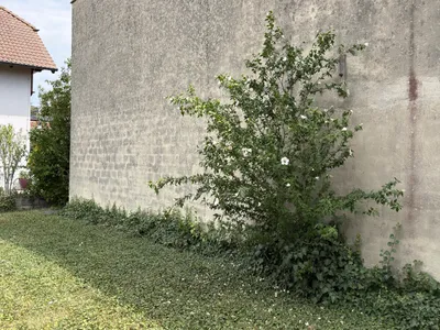 4-Zimmer-Haus kaufen in Eisenstadt - Umgebung – 171 m², € 490.000 – Bild 31 von 40