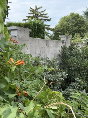 4-Zimmer-Haus kaufen in Eisenstadt - Umgebung – 171 m², € 490.000 – Bild 30 von 40