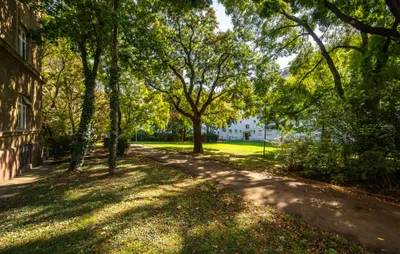 3-Zimmer-Wohnung kaufen in Wien – 58,41 m², € 149.000 – Bild 13 von 27