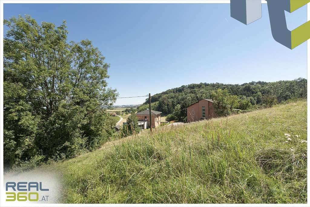 Sonniges Hanggrundstück in Stadtnähe mit Wohnbauwidmung! (Gst. West) - Ansicht 3