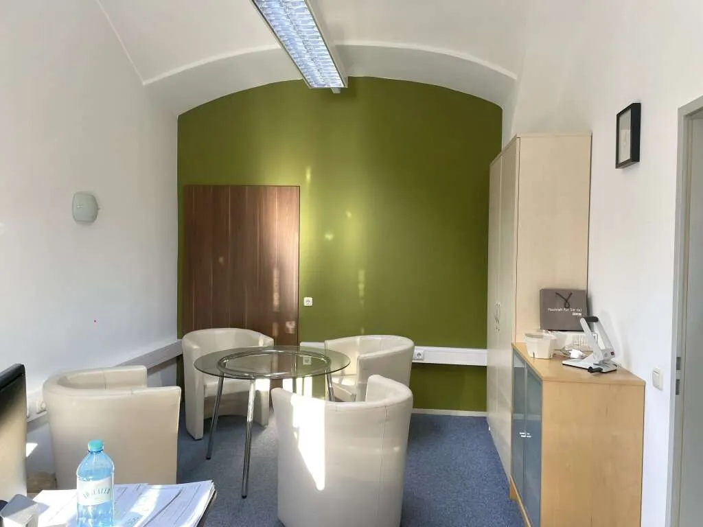 Kirchbach in der Steiermark! Büro, Praxis, Ordination, Kanzlei, Erdgeschoß, toller Altbaucharakter , ca.116,42 m², - Ansicht 3