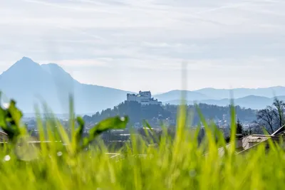 9-Zimmer-Immobilie kaufen in Salzburg Stadt – 386 m², € 4.390.000 – Bild 12 von 15