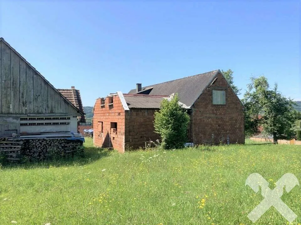 Rohbau mit Nebengebäude und großzügigem Baulandgrundstück Nähe Feldbach - Widok 3