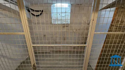 2-Zimmer-Wohnung mieten in Wiener Neustadt – 81 m², € 878 – Bild 16 von 26