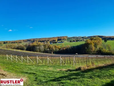 Immobilie kaufen in Südoststeiermark – 963 m², € 160.000 – Bild 6 von 19