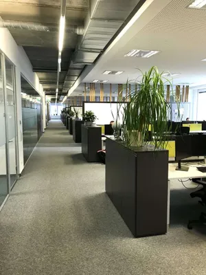 Gewerbeimmobilie mieten in Linz – 1 369 m², € 25.058 – Bild 7 von 14