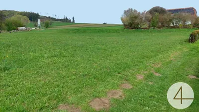 Grundstück kaufen in Krems Land – 1 189 m² – Bild 11 von 12
