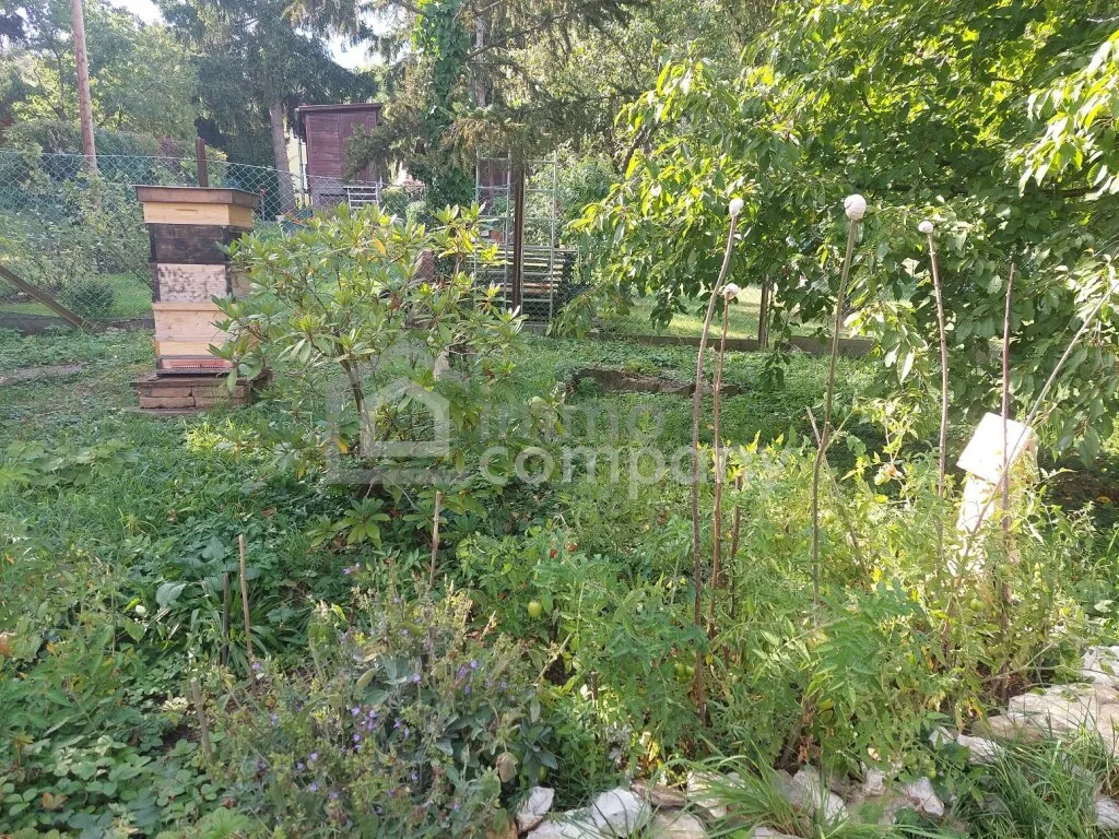 Traumgrundstück in Wien Hietzing mit einzigartigem Ausblick! - Widok 3