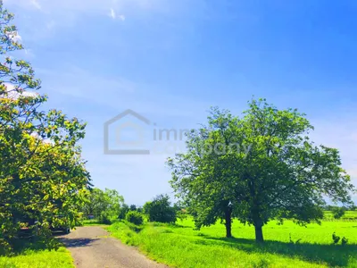 Grundstück kaufen in Eisenstadt - Umgebung – 2 278 m², € 580.000 – Bild 2 von 5